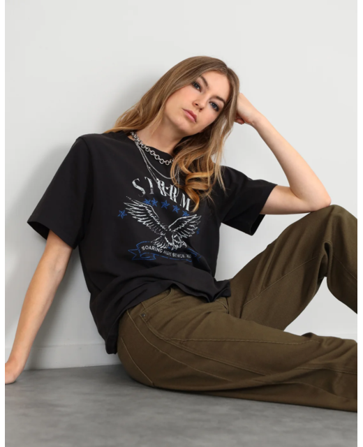 Storm Soaring High Vintage Tee
