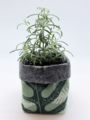 Livewires Mixed Ferns Green/Mid Grey Small Eco Plant Cosy