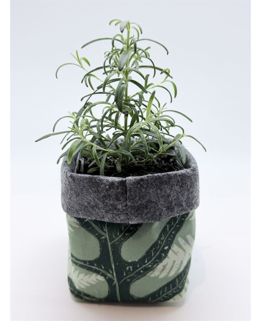Livewires Mixed Ferns Green/Mid Grey Small Eco Plant Cosy