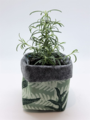 Livewires Mixed Ferns Green/Mid Grey Small Eco Plant Cosy