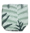 Livewires Mixed Ferns Green/Mid Grey Small Eco Plant Cosy