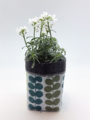 Livewires Tarawera Fern Light Blue/Dark Grey Small Eco Plant Cosy