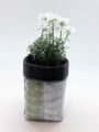 Livewires Tarawera Fern Light Blue/Dark Grey Small Eco Plant Cosy