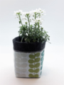 Livewires Tarawera Fern Light Blue/Dark Grey Small Eco Plant Cosy
