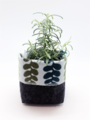 Livewires Tarawera Fern Light Blue/Dark Grey Small Eco Plant Cosy