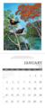Livewires Clare Reilly 2027 Wall Calendar