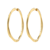 Pilgrim Presence Hoop Earrings